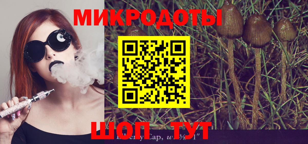 даркнет сайт  Вход с VPN  Тольятти  Псилоцибиновые грибы прущие грибы 