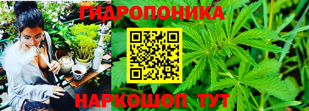Тольятти  МАРИХУАНА конопля  Вход с VPN  Шишки марихуана гибрид  Марихуана Amnesia 